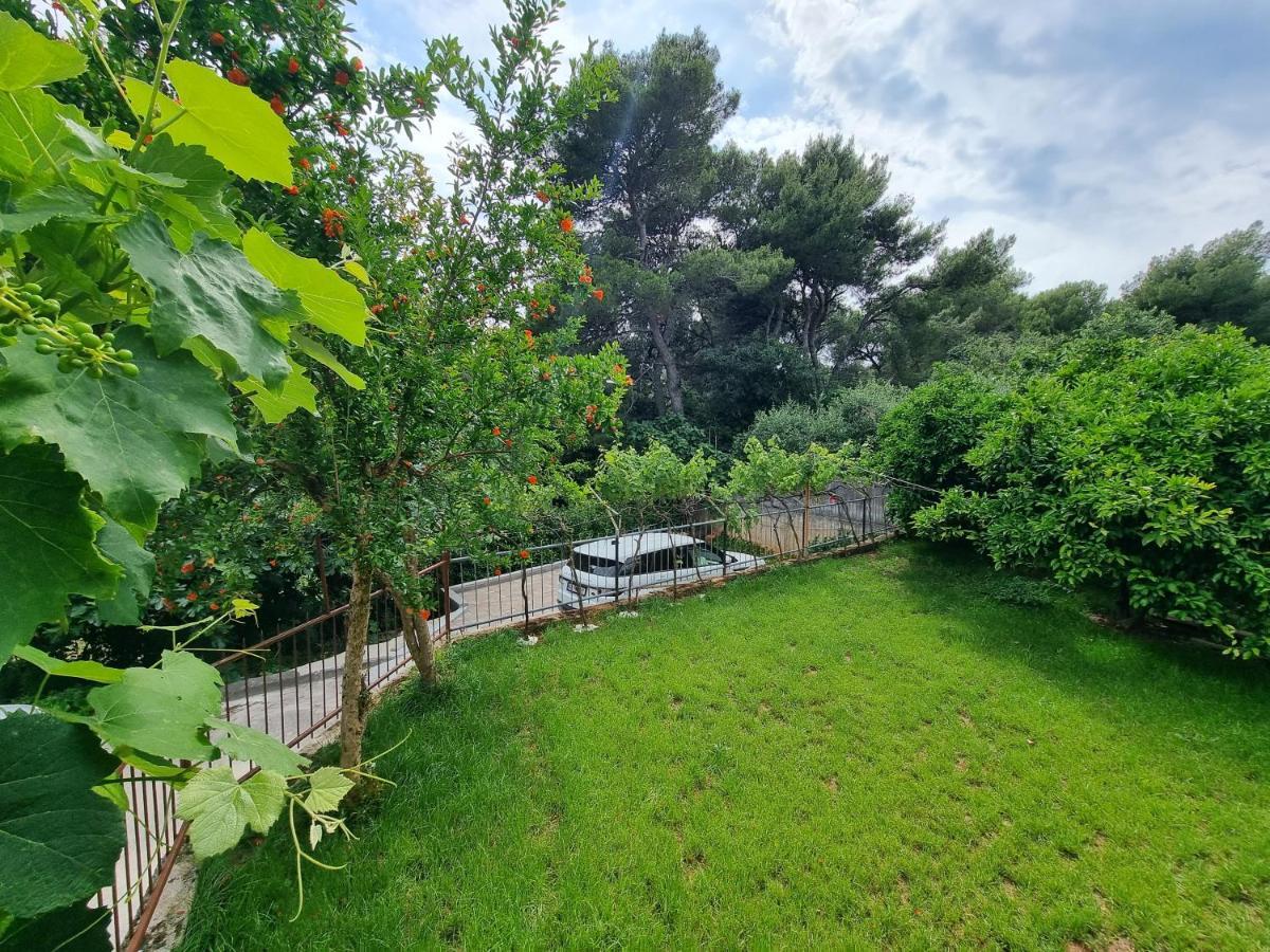 Retreat With Free Parking Apartment *